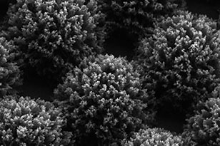 运城运城蔡司显微镜